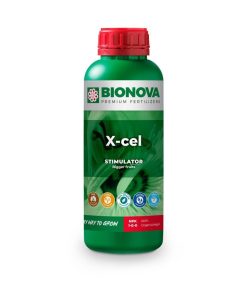 Alternative view of Bn x-cel bionova