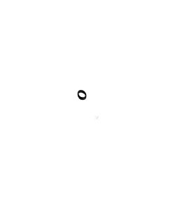 Junta torica d20 para o-ring negro (jn21001) ghe