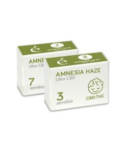 Amnesia haze ultra cbd 100% auto cbd elite seeds